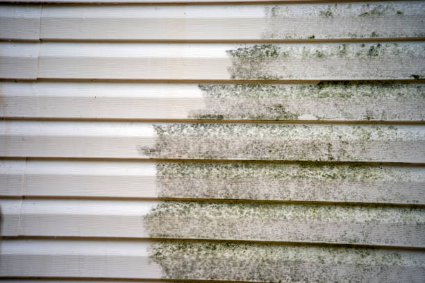 How To Choose The Right Materials for Your Siding Installation in 'Kenhorst, PA